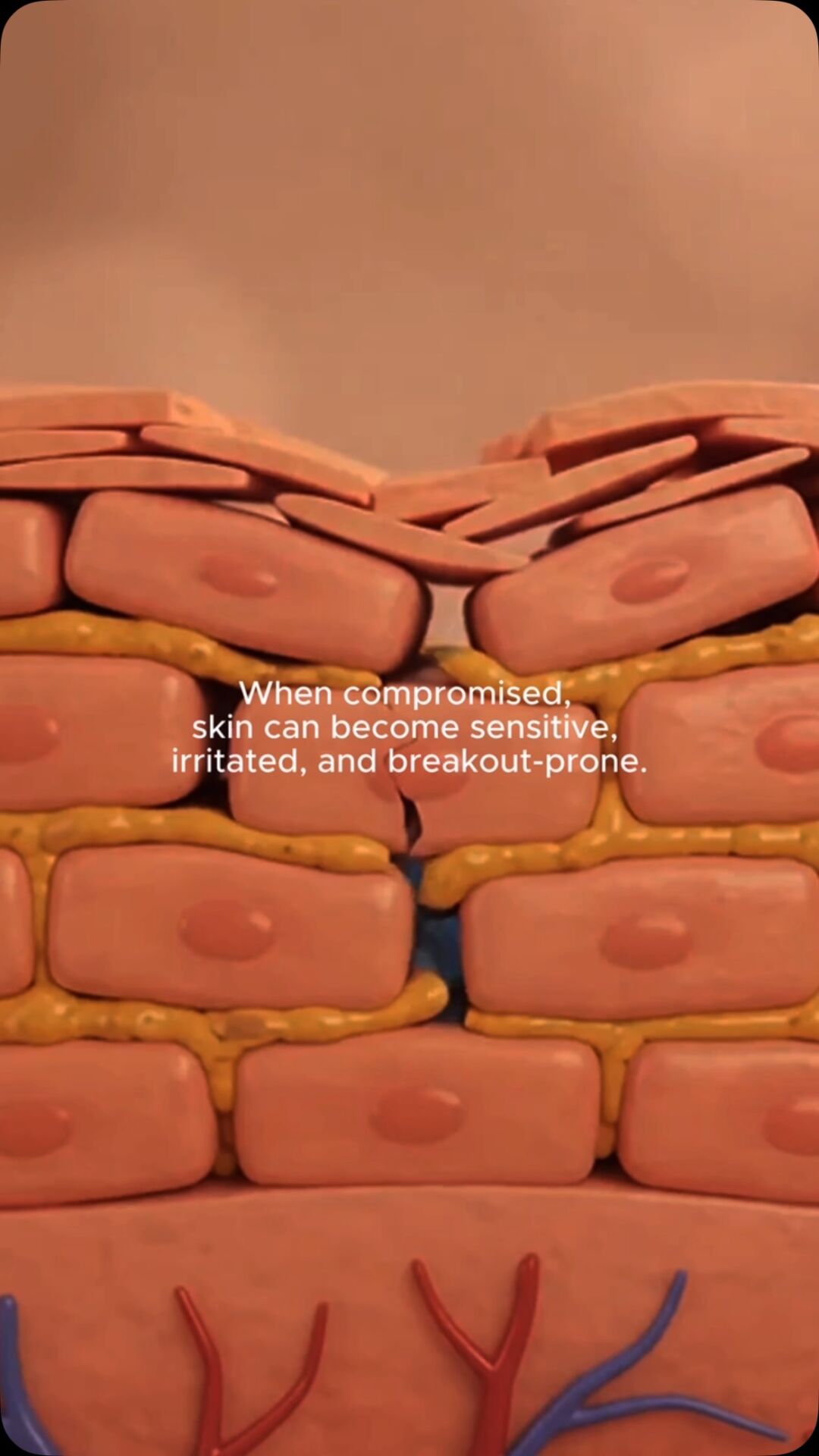 clearer-looking skin starts with understanding what your skin needs, not just treating what you see.